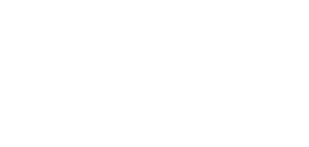 Revenue Ireland